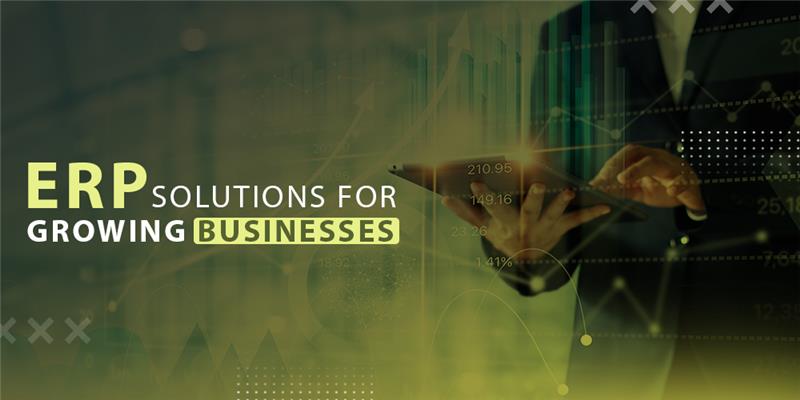 develop realistic implementation plan potential business benefits