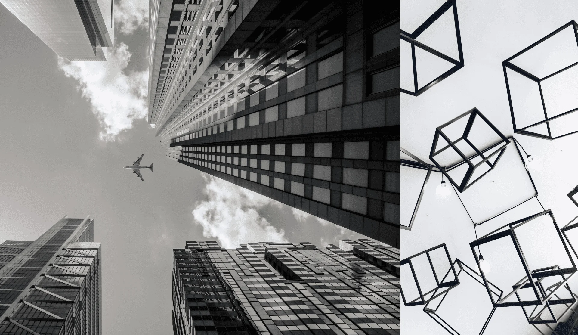 pursuit of knowledge and enlightenment