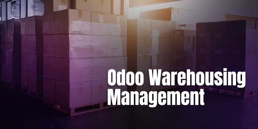 odoo integration in warehousing (WMS) overview of warehouse management